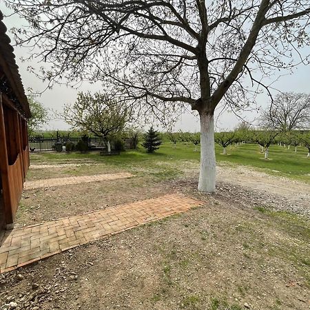 Salas Isailovi Sremska Mitrovica Esterno foto